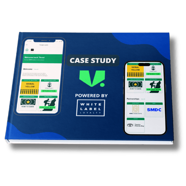 V.Ships case study PDF